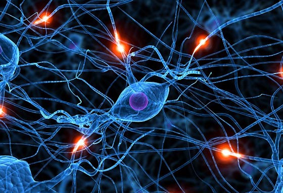 مفاجأة مدوية.. العلم يُثبت ان هناك حياة أخرى بعد الموت! صورة رقم 3