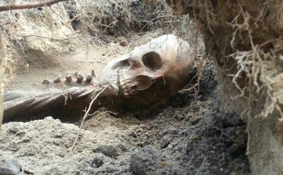تمساح وفيراري وجماجم اغرب ما وجده الأشخاص في منازلهم الجديدة صورة رقم 6