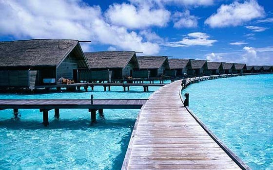  بماذا تشتهر شعوب العالم؟ فنزويلا اجمل نساء، أمريكا بلد الأثرياء ومصر ارخص برغر!  صورة رقم 6