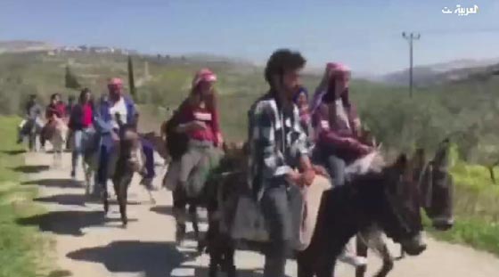 ليست مزحة.. شركة سياحة فلسطينية رأسمالها اسطول من الحمير! فيديو صورة رقم 2