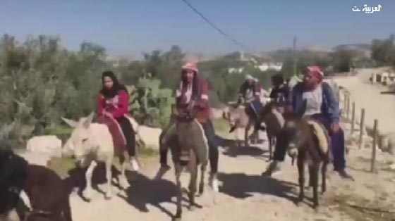 ليست مزحة.. شركة سياحة فلسطينية رأسمالها اسطول من الحمير! فيديو صورة رقم 4