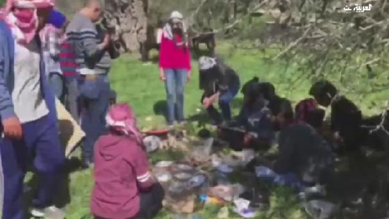 ليست مزحة.. شركة سياحة فلسطينية رأسمالها اسطول من الحمير! فيديو صورة رقم 5