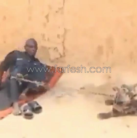 فيديو ضاحك: مقلب مرعب نفذته امرأة بزوجها  في الصحراء صورة رقم 4