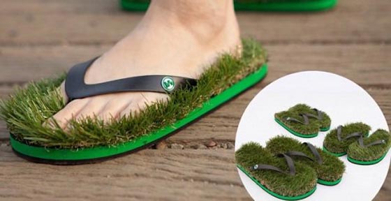  صور اغرب اختراعات بالعالم: شبشب مزروع ولفة ورق تواليت على الرأس! صورة رقم 1