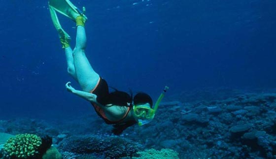 جزر الفردوس.. سياحة في جواهر آسيا المكنونة صورة رقم 6