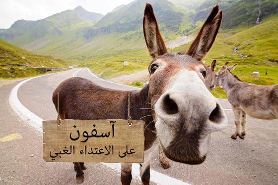  السير مع حمار وقص الشعر بين اغرب 10 عقوبات اصدرتها المحاكم صورة رقم 1