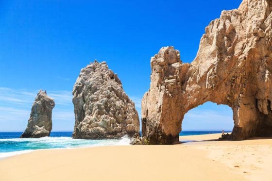 صور اجمل الهياكل البحرية في العالم صورة رقم 10