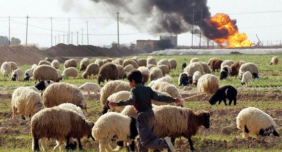 اجمل صور سحر الطبيعة الخلابة في العراق، بين الجبل والبحر.. صورة رقم 7