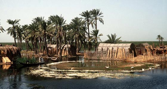 اجمل صور سحر الطبيعة الخلابة في العراق، بين الجبل والبحر.. صورة رقم 1