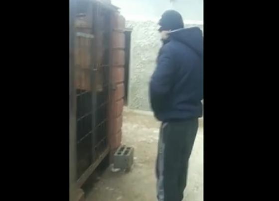 فيديو طريف.. كلب يفزع رجلا حاول ركله بقدمه! صورة رقم 1