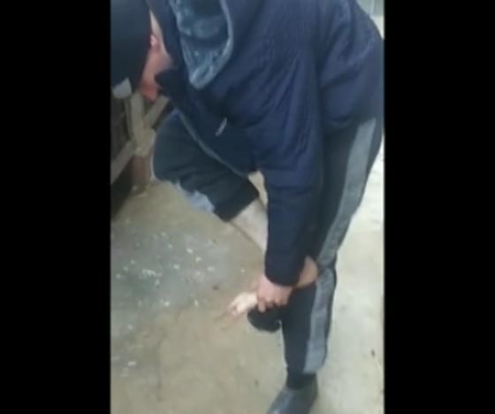 فيديو طريف.. كلب يفزع رجلا حاول ركله بقدمه! صورة رقم 4