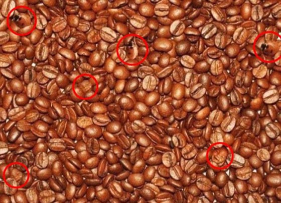 لغز الخداع البصري الأكثر شهرة يشعل مواقع التواصل الاجتماعي صورة رقم 6