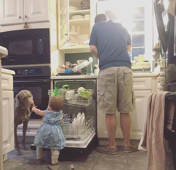 صور طريفة.. اغرب المساعدات حول العالم، يحملون بعضهم بعضا! صورة رقم 15