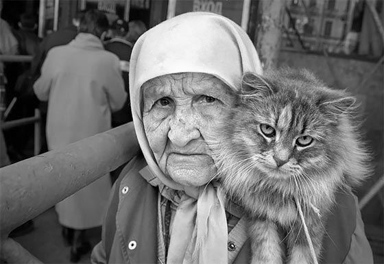 صور مذهلة لمدينة سانت بطرسبرج الروسية صورة رقم 39