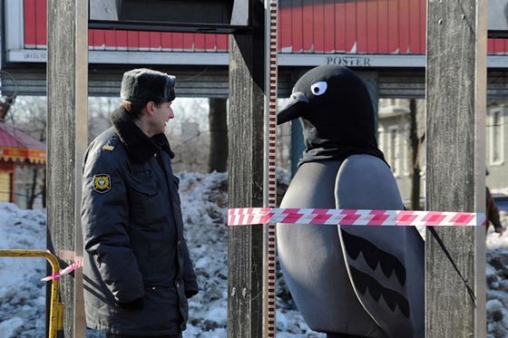 صور مذهلة لمدينة سانت بطرسبرج الروسية صورة رقم 9