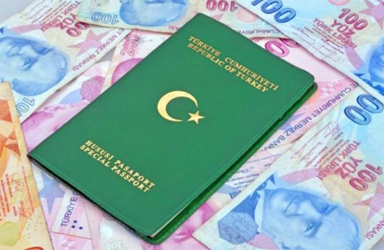 ما هي الوان جواز السفر حول العالم؟ وأي لون اختارت الدول الاسلامية؟  صورة رقم 3