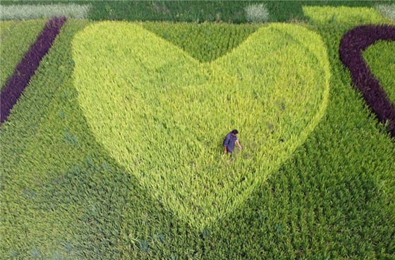  صور رائعة من الصن: شاهد جمال الطبيعة الخلابة وما فعلته بها يد الانسان! صورة رقم 4