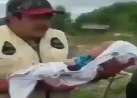 طقوس غريبة لرجل يضع مولوده الجديد في بطن بقرة ميتة.. فيديو صورة رقم 3