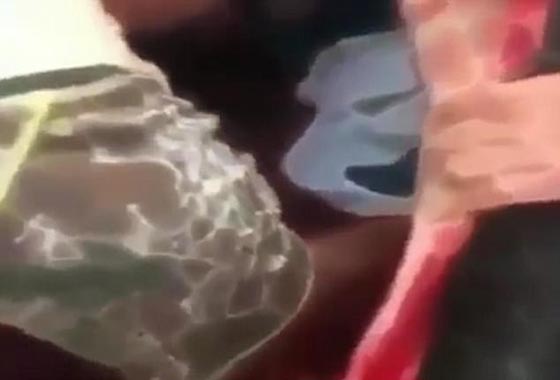 طقوس غريبة لرجل يضع مولوده الجديد في بطن بقرة ميتة.. فيديو صورة رقم 4