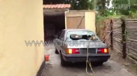 شاهد بالفيديو اطرف حوادث السيارات ابرزها فيراري تغرقها المياه صورة رقم 5