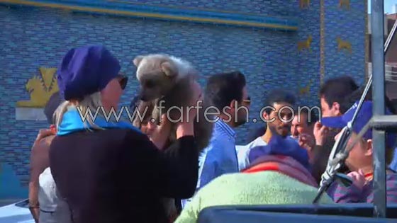 اطلاق 6 دببة برية في طبيعة اقليم كردستان العراق.. فيديو صورة رقم 4