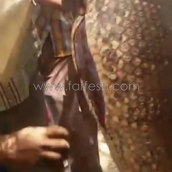وسط ذهول الناس.. افعى تبتلع بقرة في السودان! شاهد الفيديو صورة رقم 6