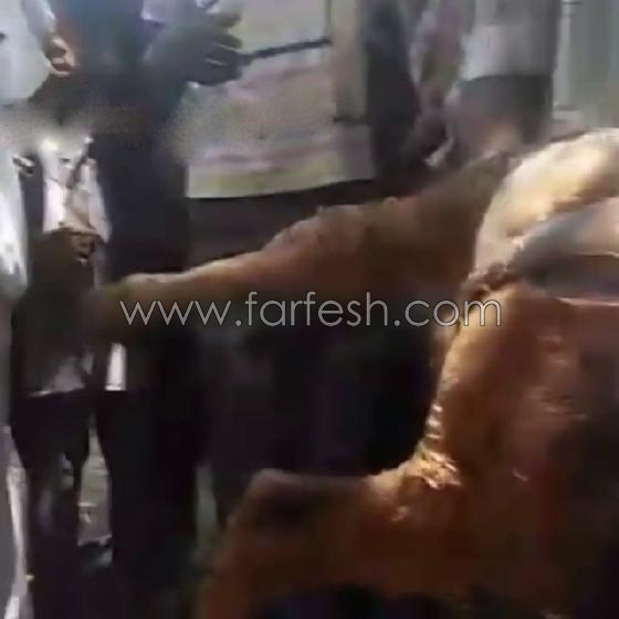 وسط ذهول الناس.. افعى تبتلع بقرة في السودان! شاهد الفيديو صورة رقم 11