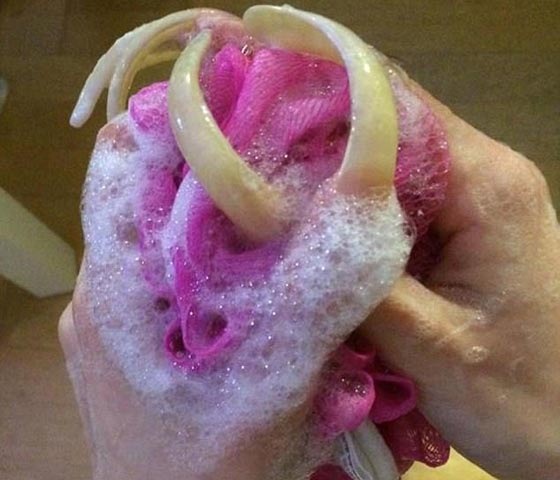 صور.. هكذا تبدو اظافر فتاة توقفت عن تقليمها منذ 3 سنوات صورة رقم 12