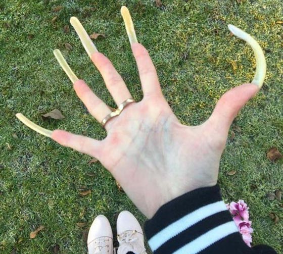 صور.. هكذا تبدو اظافر فتاة توقفت عن تقليمها منذ 3 سنوات صورة رقم 14