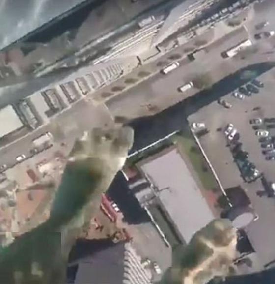 هل تجرؤ على السباحة في بركة الرعب الزجاجية.. شاهد الصور صورة رقم 3