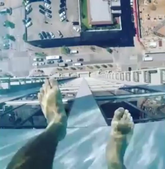 هل تجرؤ على السباحة في بركة الرعب الزجاجية.. شاهد الصور صورة رقم 11