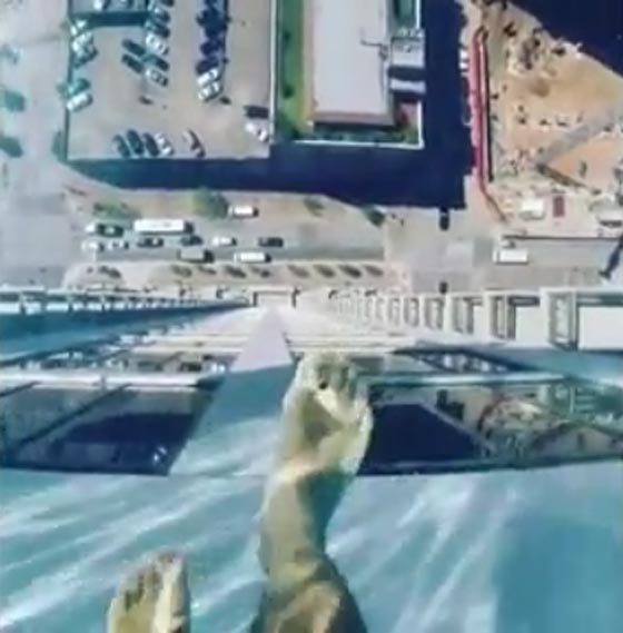 هل تجرؤ على السباحة في بركة الرعب الزجاجية.. شاهد الصور صورة رقم 12
