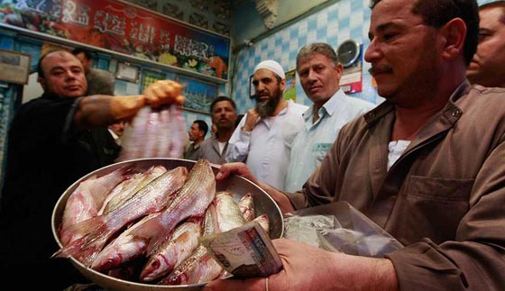 تعرف على اغرب الاكلات حول العالم.. كروش وافاعي وخصى الثور صورة رقم 12