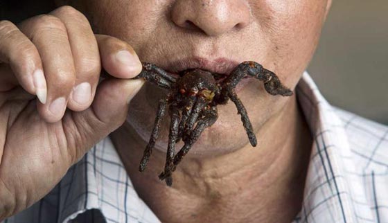 تعرف على اغرب الاكلات حول العالم.. كروش وافاعي وخصى الثور صورة رقم 6