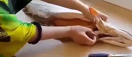 فيديو وصور.. هذا ما عثرت عليه سيدة في بطن سمكة اثناء تنظيفها صورة رقم 1