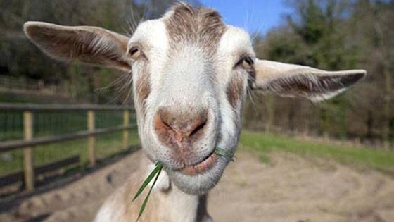  ���� ��� 4 - �� � �� �� ����: ����� �������� ���� ������ ����� �� ����� ��� ����� ������!