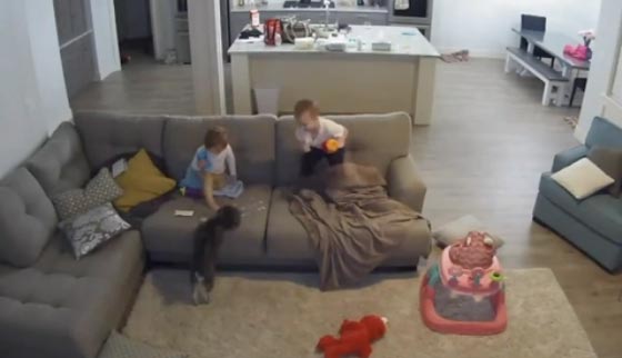 فيديو طريف.. طفل يصيب والدته بالذعر وهو يطاردها بكأس من اللبن صورة رقم 2