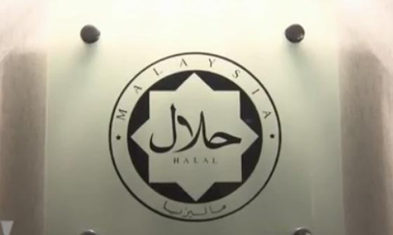 فيديو يظهر الفرق بين فنادق الحلال والفنادق العادية بماليزيا صورة رقم 2