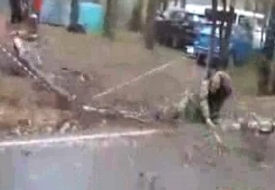 رجل ينجو من الموت بأعجوبة بعد ان سقطت عليه شجرة عملاقة.. فيديو صورة رقم 1