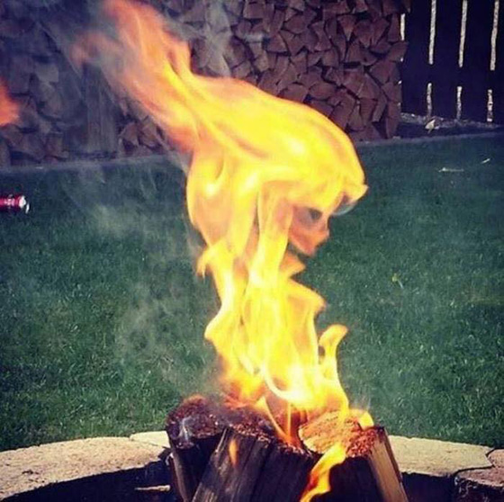 صور التقطت في الوقت المناسب لا تفوتها صورة رقم 3