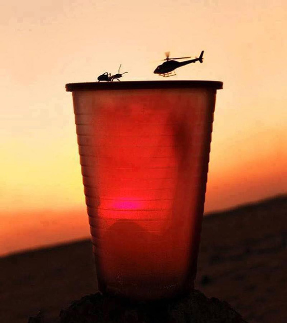 صور التقطت في الوقت المناسب لا تفوتها صورة رقم 4