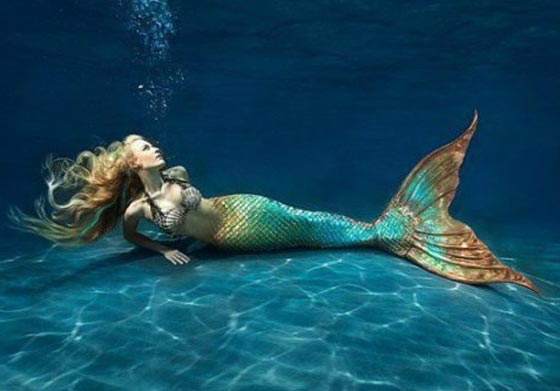  ���� ��� 7 - ��� ������ ����� ������.. ���� �������� ��� ������ ������� 