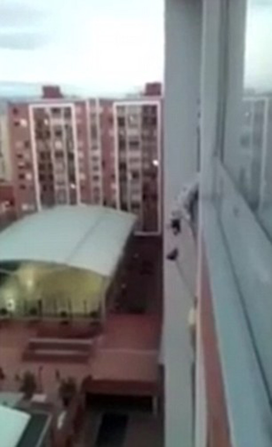 فيديو مثير.. رجل يخاطر بحياته على ارتفاع شاهق لانقاذ كلب عالق صورة رقم 2