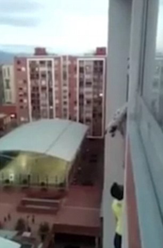 فيديو مثير.. رجل يخاطر بحياته على ارتفاع شاهق لانقاذ كلب عالق صورة رقم 5