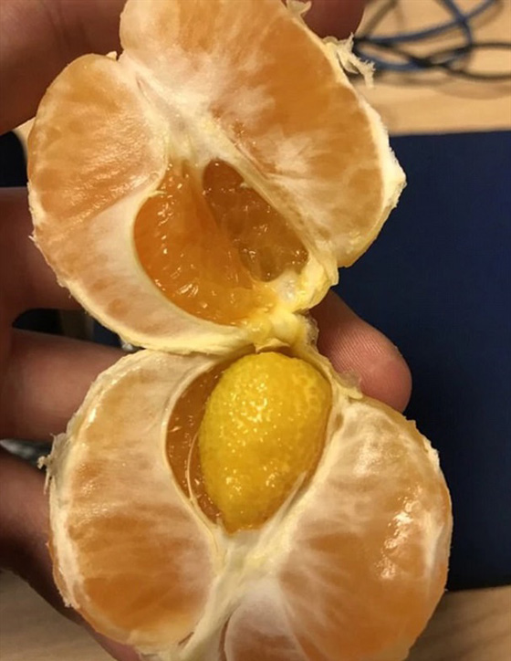 بالصور.. لقطات غريبة صورت في اللحظة المناسبة صورة رقم 4
