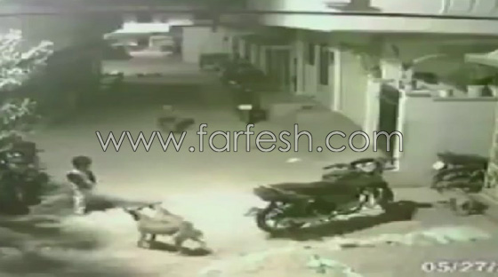  فيديو مذهل: الطفل البطل يصد هجوم مجموعة من الكلاب ويحمي اخته بكل شجاعة صورة رقم 2