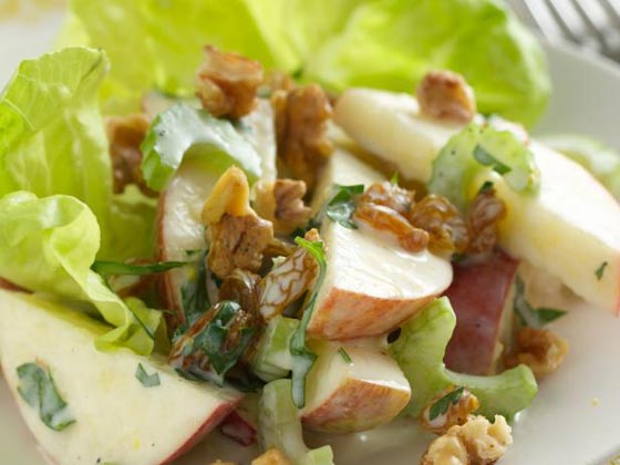  ���� ��� 2 - ������� ���� ��� ������ ������ �����.. ������ ��������