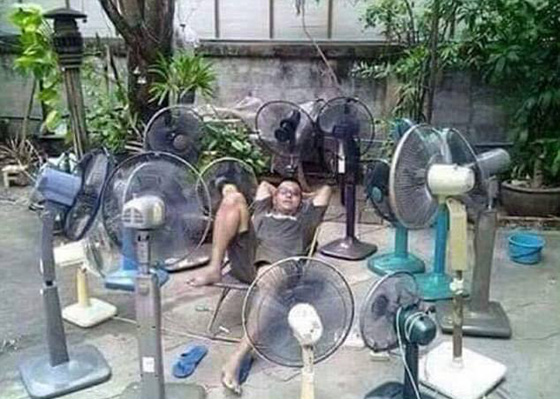 بالصور.. أطرف الطرق للهروب من ارتفاع درجة الحرارة صورة رقم 5