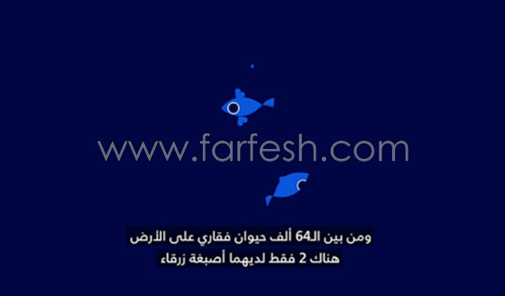  اسرار غموض اللون الازرق.. وجوده نادر لكنه مرئي على الدوام صورة رقم 3