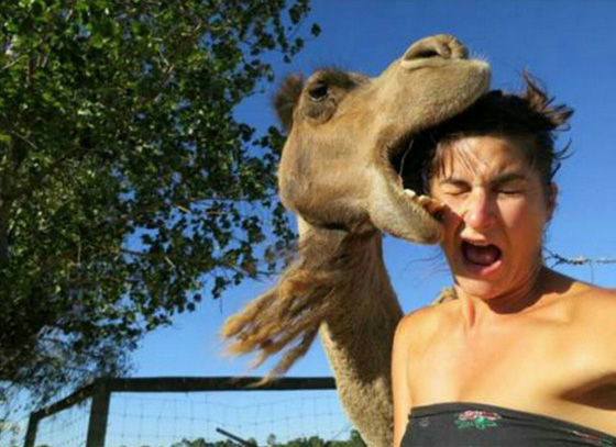 اخطر 14 صورة سيلفي جنونية حول العالم.. لا تحاول ان تقلدها! صورة رقم 10